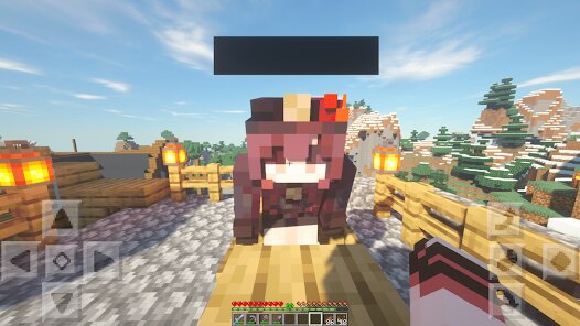 snapshot6